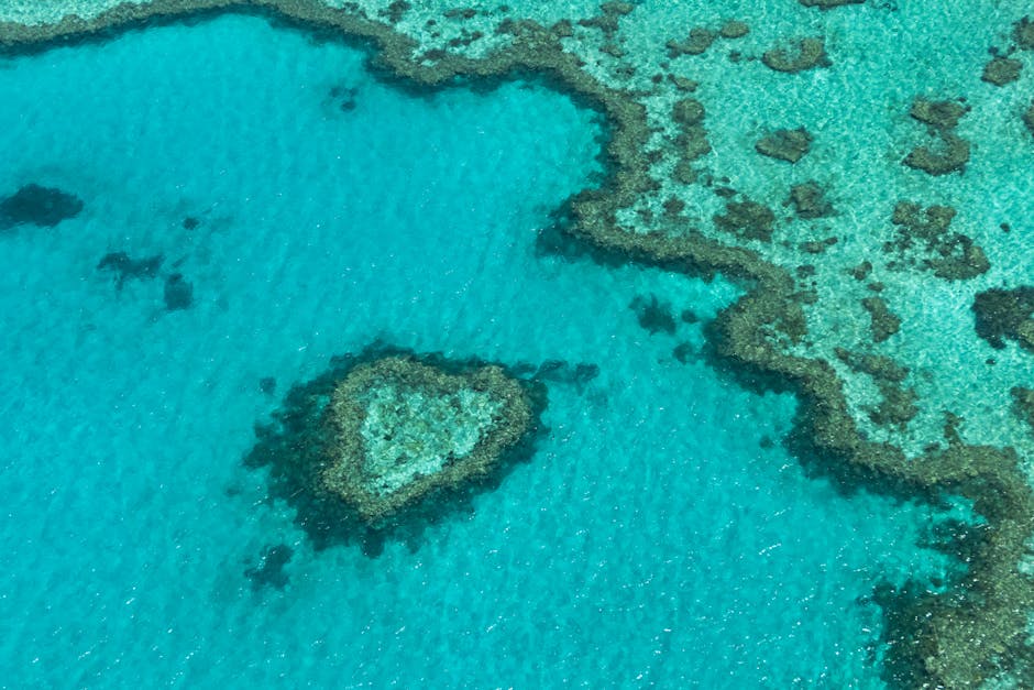 Gran Barrera de Coral Queensland Australia — eSIM y conexión