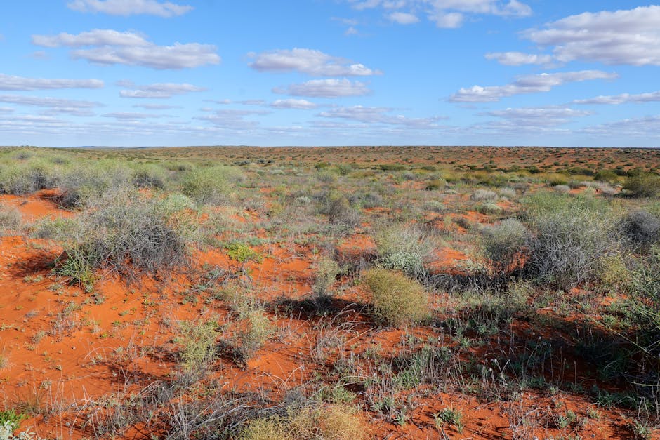 Paisaje Outback Australia — cobertura de red 4G 5G