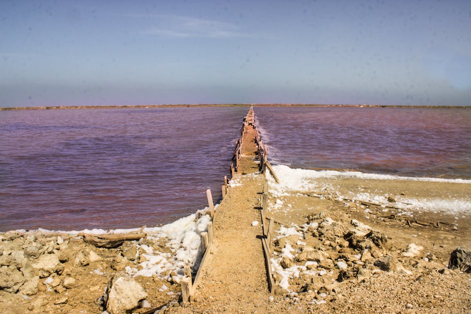 Kalahari Botsuana paisaje