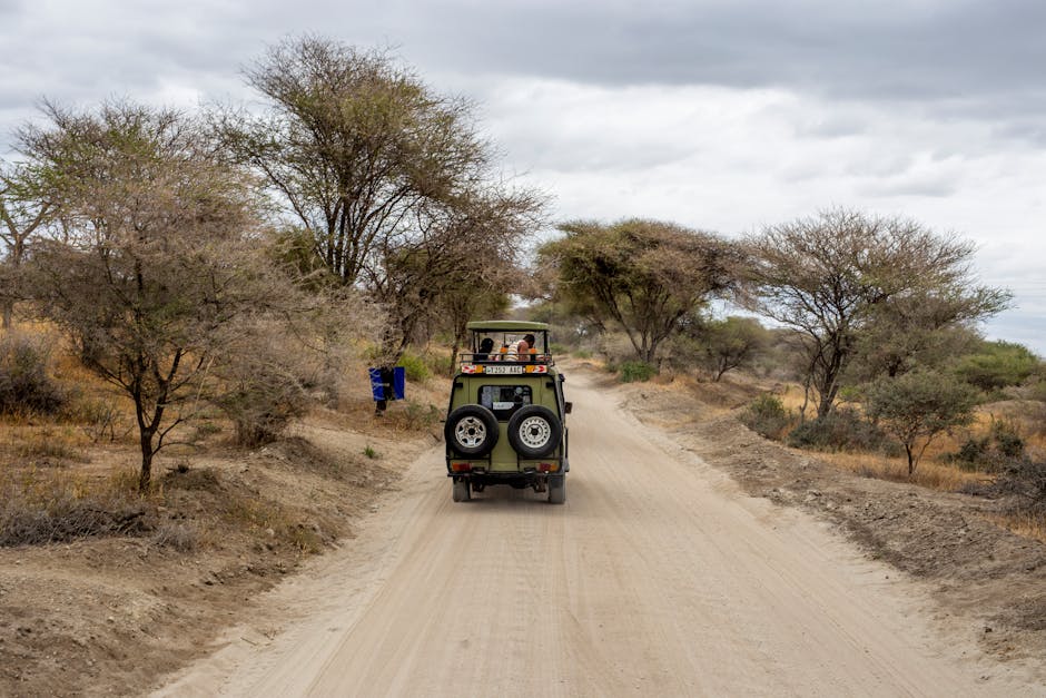 Safari 4x4 Botsuana sabana
