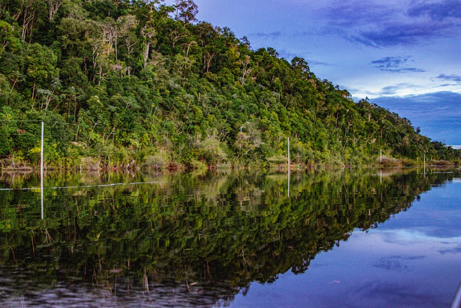 Selva amazónica Brasil — eSIM y conexión en el interior de Brasil