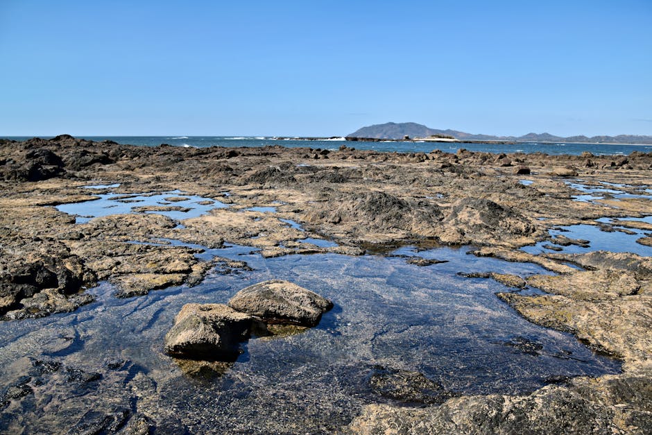 Surf en Tamarindo Costa Rica — eSIM y conexión 4G en Guanacaste