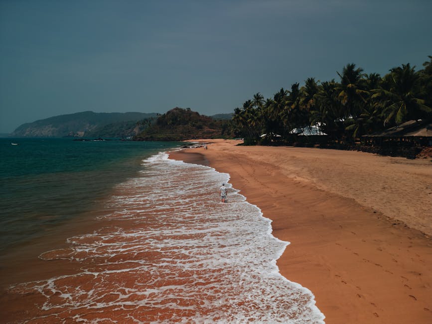 Playa de Goa India — eSIM y conexión paradisíaca