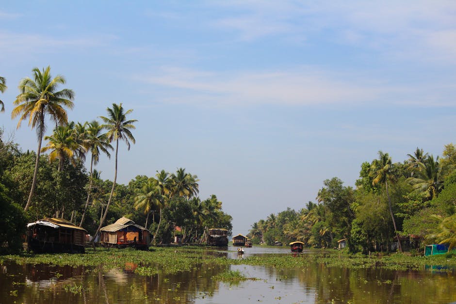 Backwaters de Kerala India — eSIM y conexión