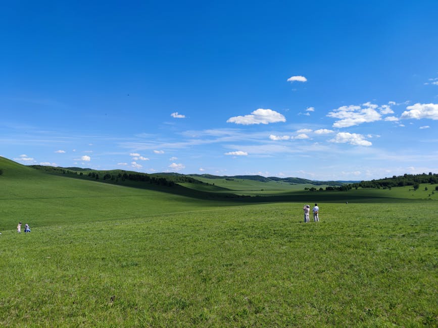 Paisaje de la estepa de Mongolia — cobertura de red Mobicom