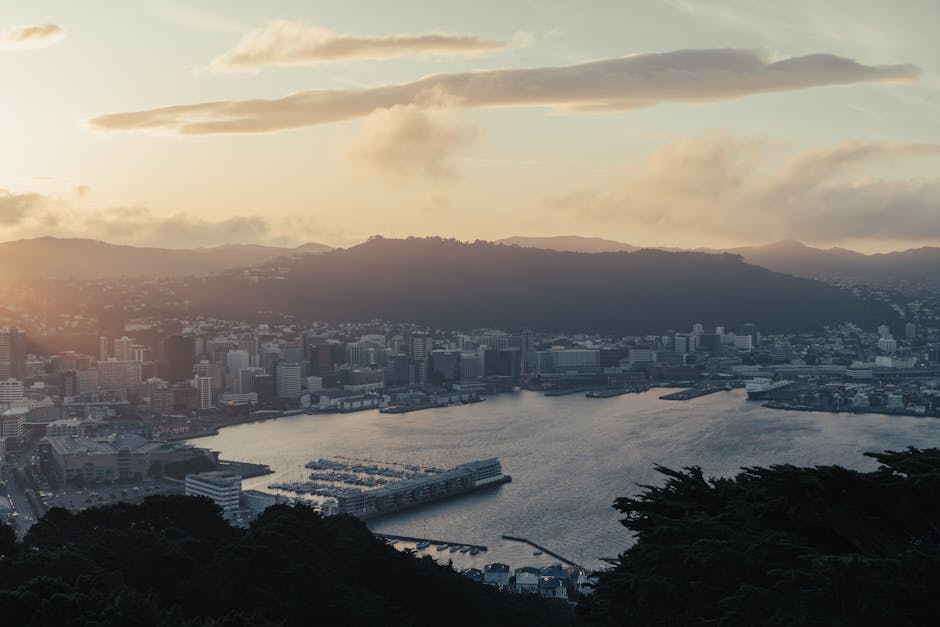 Puerto de Wellington Nueva Zelanda — eSIM y conexión 4G+