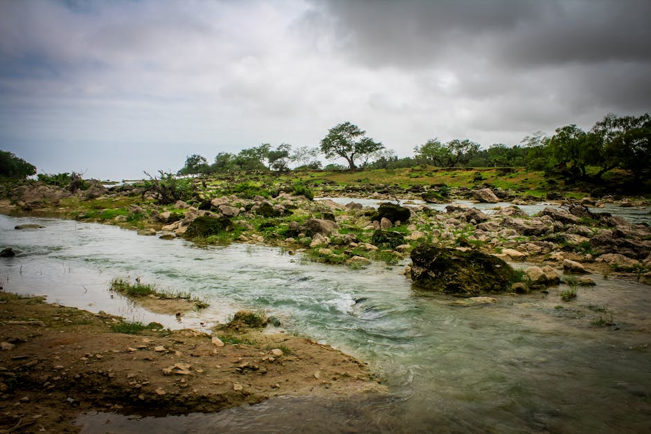 Salalah khareef monzón vegetación Omán — eSIM y conexión 4G Dhofar