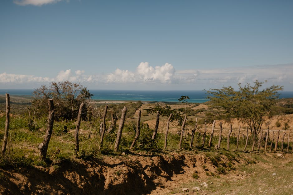 Paisaje tropical República Dominicana — cobertura de red 4G