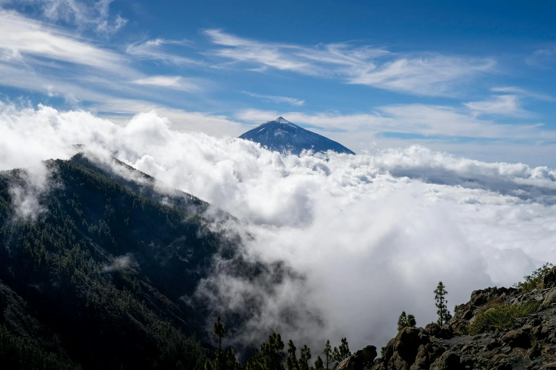 Islas Canarias: Tenerife y Gran Canaria