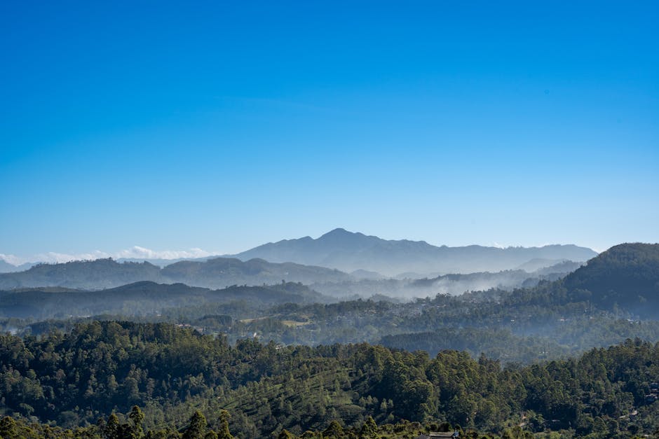 Paisaje verde Sri Lanka — cobertura de red 4G