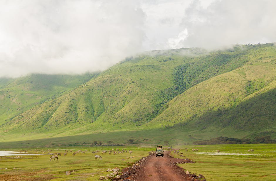 Cráter del Ngorongoro Tanzania — cobertura de red 4G
