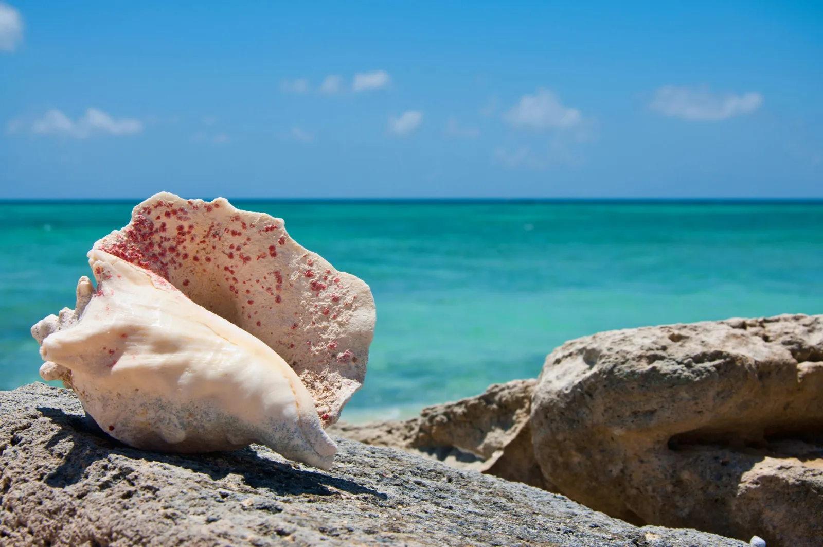 Comparativa eSIM Islas Turcas y Caicos